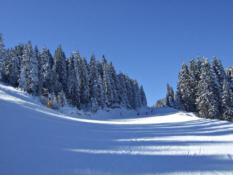 L&N Apartmani Kopaonik Zewnętrze zdjęcie