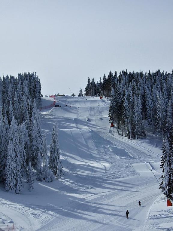 L&N Apartmani Kopaonik Zewnętrze zdjęcie